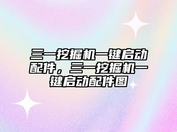 三一挖掘機一鍵啟動配件，三一挖掘機一鍵啟動配件圖