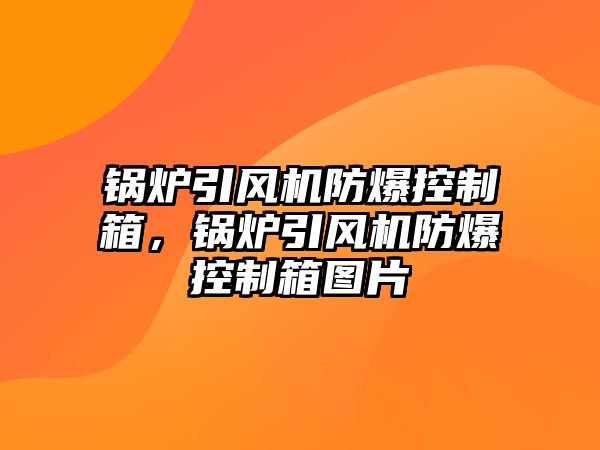 鍋爐引風機防爆控制箱，鍋爐引風機防爆控制箱圖片