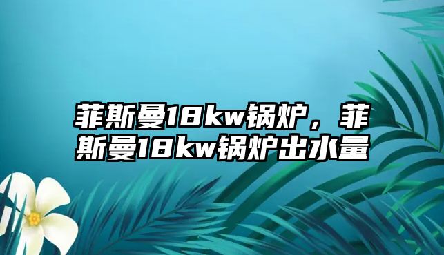 菲斯曼18kw鍋爐，菲斯曼18kw鍋爐出水量