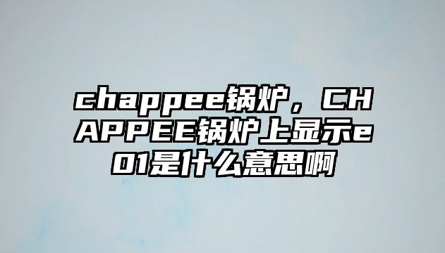 chappee鍋爐，CHAPPEE鍋爐上顯示e01是什么意思啊