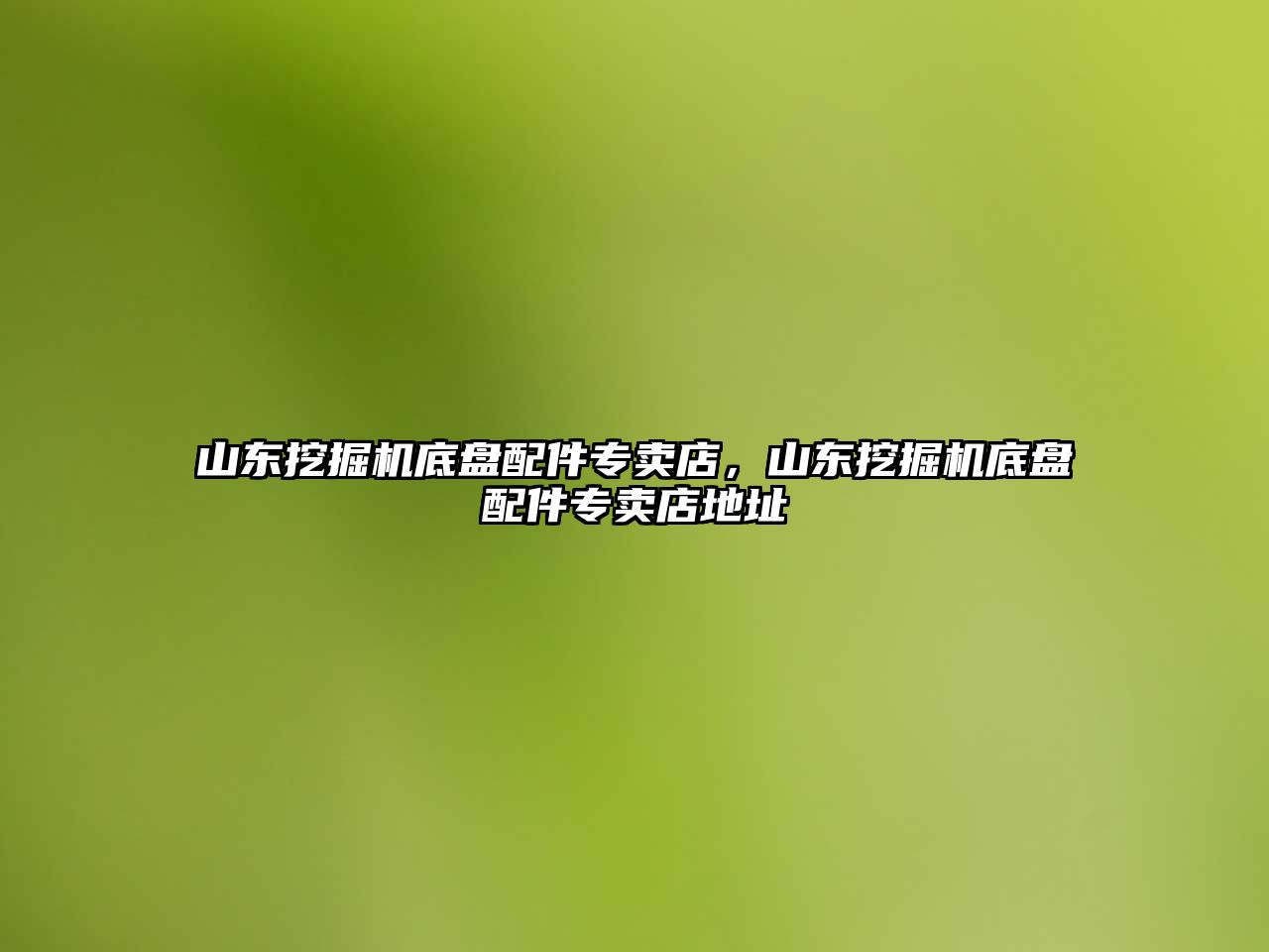 山東挖掘機底盤配件專賣店，山東挖掘機底盤配件專賣店地址