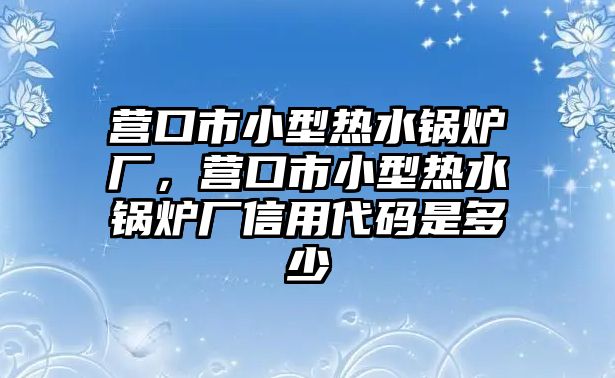 營(yíng)口市小型熱水鍋爐廠，營(yíng)口市小型熱水鍋爐廠信用代碼是多少