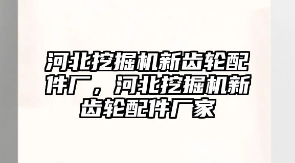 河北挖掘機(jī)新齒輪配件廠，河北挖掘機(jī)新齒輪配件廠家