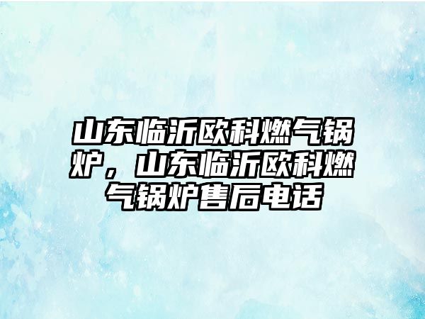 山東臨沂歐科燃?xì)忮仩t，山東臨沂歐科燃?xì)忮仩t售后電話