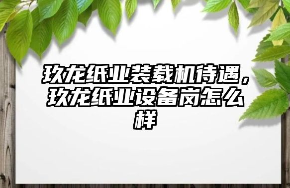 玖龍紙業(yè)裝載機(jī)待遇，玖龍紙業(yè)設(shè)備崗怎么樣