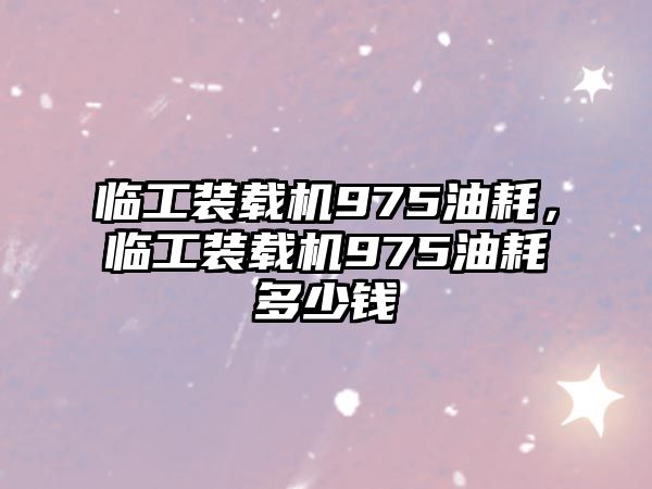 臨工裝載機975油耗，臨工裝載機975油耗多少錢