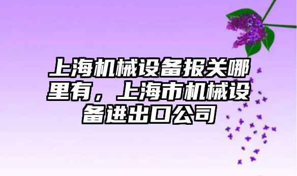 上海機械設備報關哪里有，上海市機械設備進出口公司