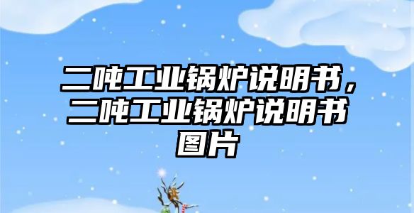 二噸工業(yè)鍋爐說(shuō)明書，二噸工業(yè)鍋爐說(shuō)明書圖片