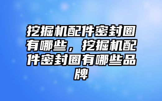 挖掘機(jī)配件密封圈有哪些，挖掘機(jī)配件密封圈有哪些品牌