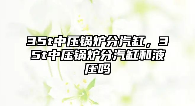 35t中壓鍋爐分汽缸，35t中壓鍋爐分汽缸和液壓?jiǎn)?/>	
								</i>
								<p class=