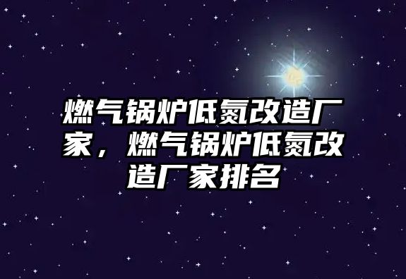 燃?xì)忮仩t低氮改造廠家，燃?xì)忮仩t低氮改造廠家排名