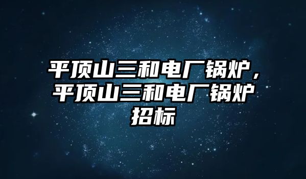 平頂山三和電廠鍋爐，平頂山三和電廠鍋爐招標