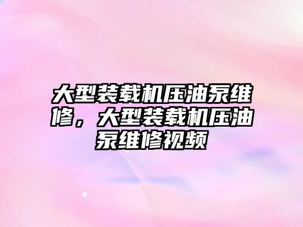 大型裝載機壓油泵維修，大型裝載機壓油泵維修視頻