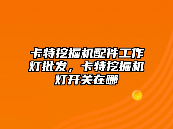 卡特挖掘機配件工作燈批發(fā)，卡特挖掘機燈開關在哪