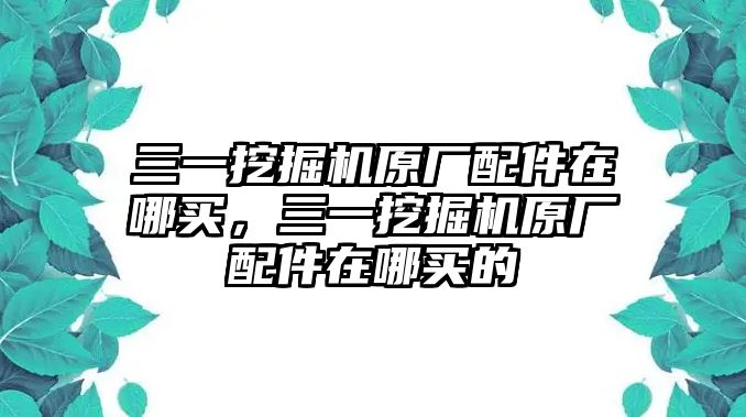 三一挖掘機原廠配件在哪買，三一挖掘機原廠配件在哪買的