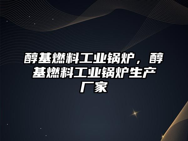 醇基燃料工業(yè)鍋爐，醇基燃料工業(yè)鍋爐生產(chǎn)廠家