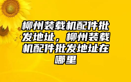 柳州裝載機配件批發(fā)地址，柳州裝載機配件批發(fā)地址在哪里