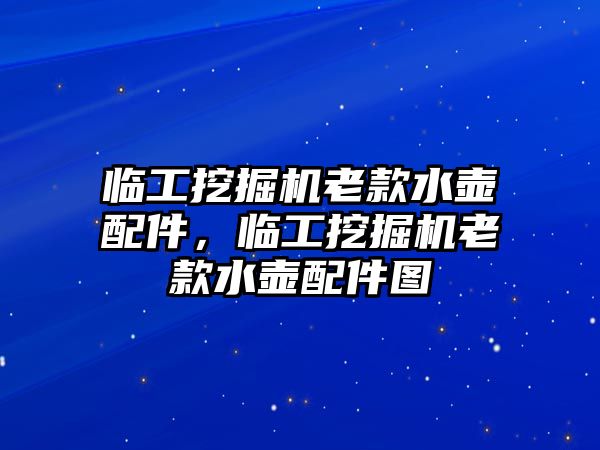 臨工挖掘機老款水壺配件，臨工挖掘機老款水壺配件圖