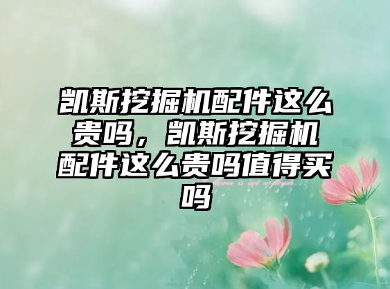 凱斯挖掘機配件這么貴嗎，凱斯挖掘機配件這么貴嗎值得買嗎