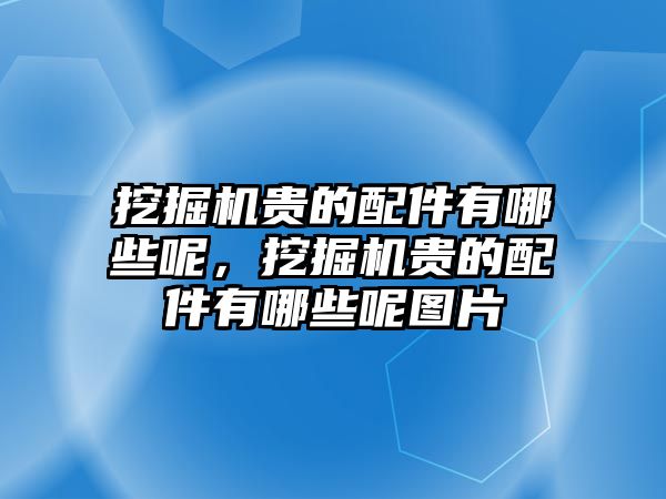 挖掘機貴的配件有哪些呢，挖掘機貴的配件有哪些呢圖片