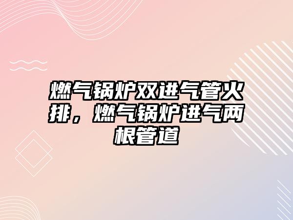 燃?xì)忮仩t雙進氣管火排，燃?xì)忮仩t進氣兩根管道