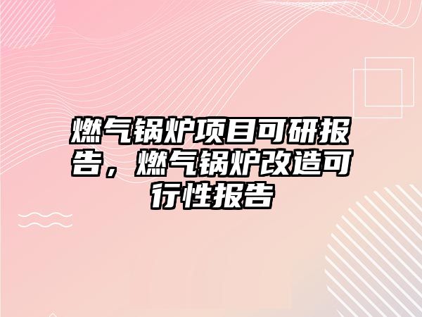 燃?xì)忮仩t項目可研報告，燃?xì)忮仩t改造可行性報告