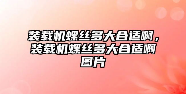 裝載機螺絲多大合適啊，裝載機螺絲多大合適啊圖片