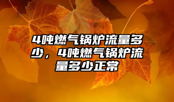 4噸燃?xì)忮仩t流量多少，4噸燃?xì)忮仩t流量多少正常