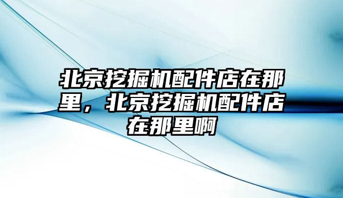 北京挖掘機配件店在那里，北京挖掘機配件店在那里啊