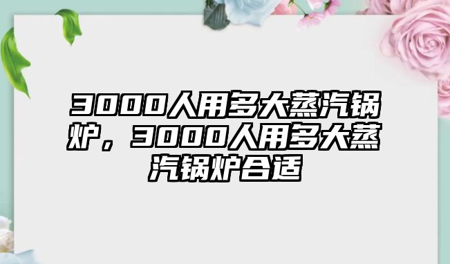 3000人用多大蒸汽鍋爐，3000人用多大蒸汽鍋爐合適