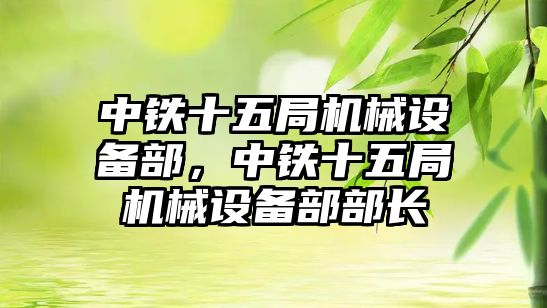 中鐵十五局機械設(shè)備部，中鐵十五局機械設(shè)備部部長