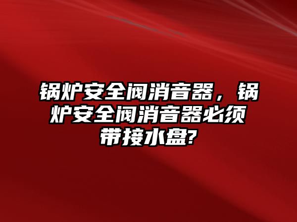 鍋爐安全閥消音器，鍋爐安全閥消音器必須帶接水盤?