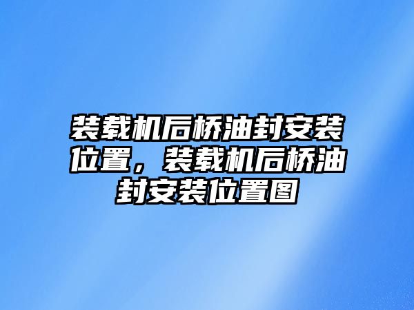 裝載機后橋油封安裝位置，裝載機后橋油封安裝位置圖