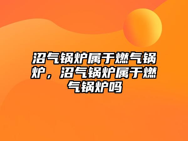 沼氣鍋爐屬于燃?xì)忮仩t，沼氣鍋爐屬于燃?xì)忮仩t嗎