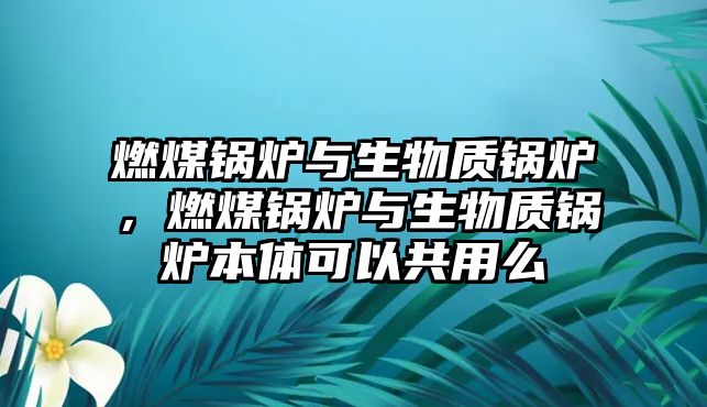 燃煤鍋爐與生物質(zhì)鍋爐，燃煤鍋爐與生物質(zhì)鍋爐本體可以共用么