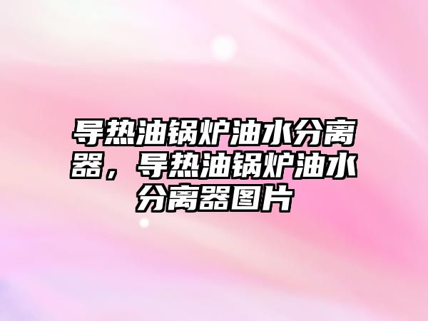 導熱油鍋爐油水分離器，導熱油鍋爐油水分離器圖片