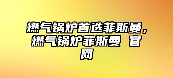 燃?xì)忮仩t首選菲斯曼，燃?xì)忮仩t菲斯曼 官網(wǎng)