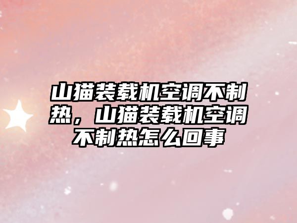 山貓裝載機(jī)空調(diào)不制熱，山貓裝載機(jī)空調(diào)不制熱怎么回事