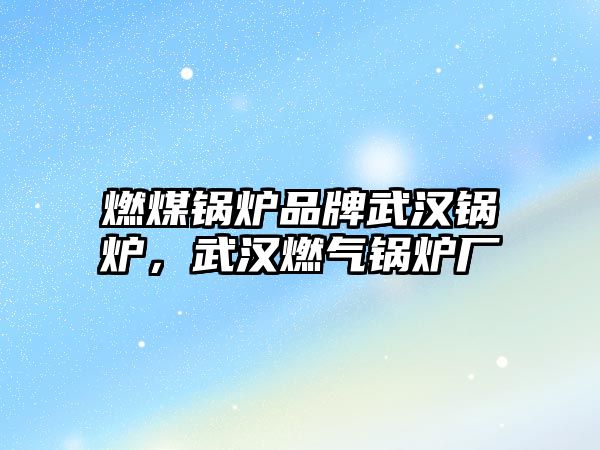 燃煤鍋爐品牌武漢鍋爐，武漢燃氣鍋爐廠