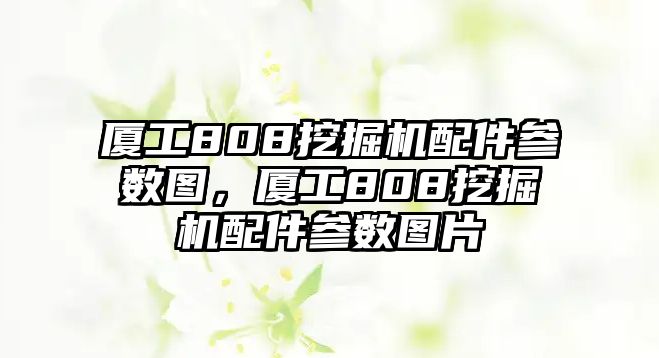 廈工808挖掘機(jī)配件參數(shù)圖，廈工808挖掘機(jī)配件參數(shù)圖片