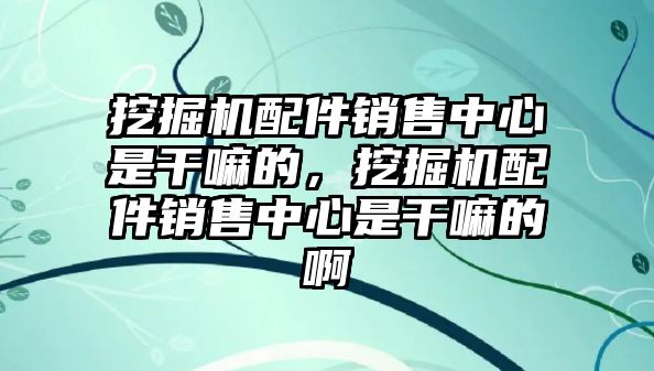 挖掘機配件銷售中心是干嘛的，挖掘機配件銷售中心是干嘛的啊