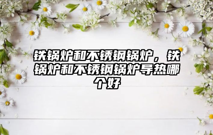 鐵鍋爐和不銹鋼鍋爐，鐵鍋爐和不銹鋼鍋爐導(dǎo)熱哪個好