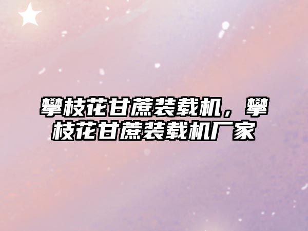 攀枝花甘蔗裝載機，攀枝花甘蔗裝載機廠家