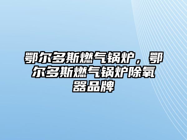 鄂爾多斯燃?xì)忮仩t，鄂爾多斯燃?xì)忮仩t除氧器品牌