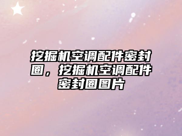 挖掘機(jī)空調(diào)配件密封圈，挖掘機(jī)空調(diào)配件密封圈圖片