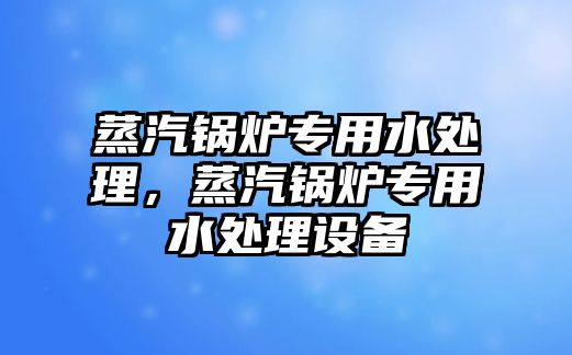 蒸汽鍋爐專用水處理，蒸汽鍋爐專用水處理設(shè)備