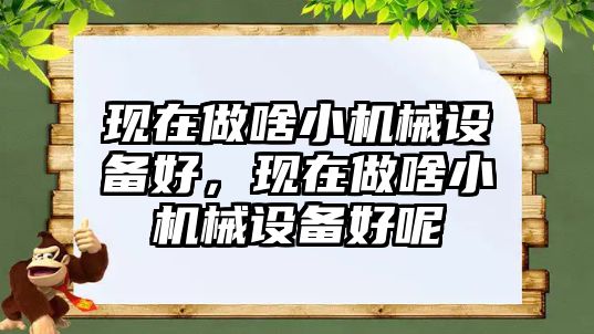 現(xiàn)在做啥小機(jī)械設(shè)備好，現(xiàn)在做啥小機(jī)械設(shè)備好呢