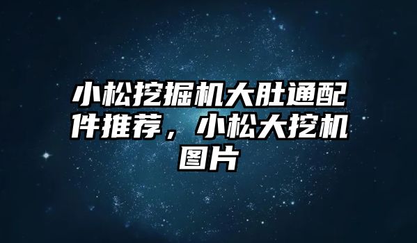 小松挖掘機大肚通配件推薦，小松大挖機圖片