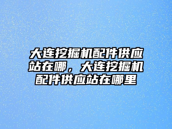 大連挖掘機(jī)配件供應(yīng)站在哪，大連挖掘機(jī)配件供應(yīng)站在哪里