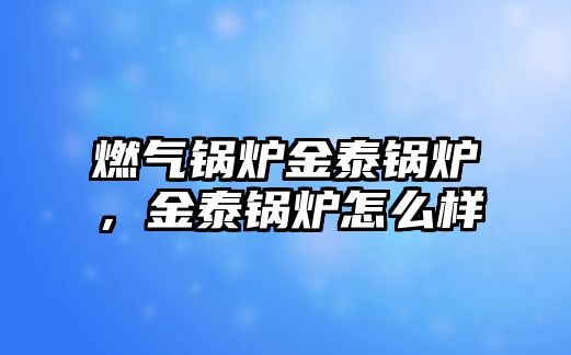 燃?xì)忮仩t金泰鍋爐，金泰鍋爐怎么樣